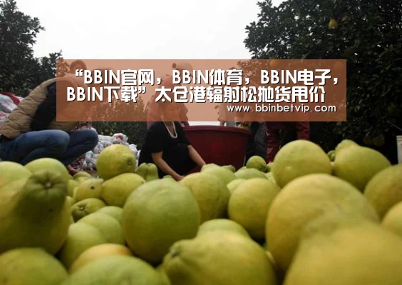 “BBIN官网,BBIN体育,BBIN电子,BBIN下载”太仓港辐射松抛货甩价严重(图3) BBIN官网,BBIN体育,BBIN电子,BBIN下载