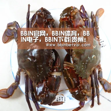 BBIN官网,BBIN体育,BBIN电子,BBIN下载|贵州:1000名长者的“养生之旅”专列 从广州抵达贵阳(图1) BBIN官网,BBIN体育,BBIN电子,BBIN下载